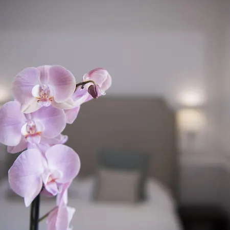 La Bambagina 4* Amalfi