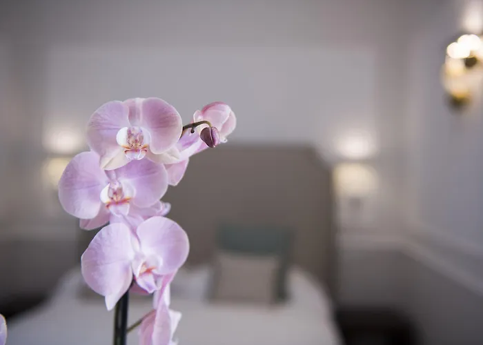 La Bambagina 阿马尔菲